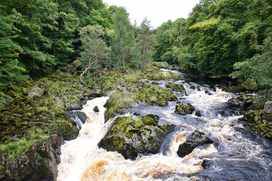 From Aberdeen: Guided Day Trip, Coast & Castle Visit - Gourdon and the fishing coast