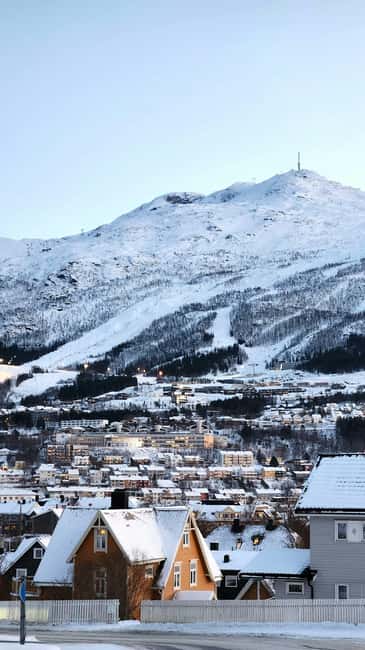 From Abisko: Narvik City and Fjord Day Trip - Why this trip works as a border-crossing day