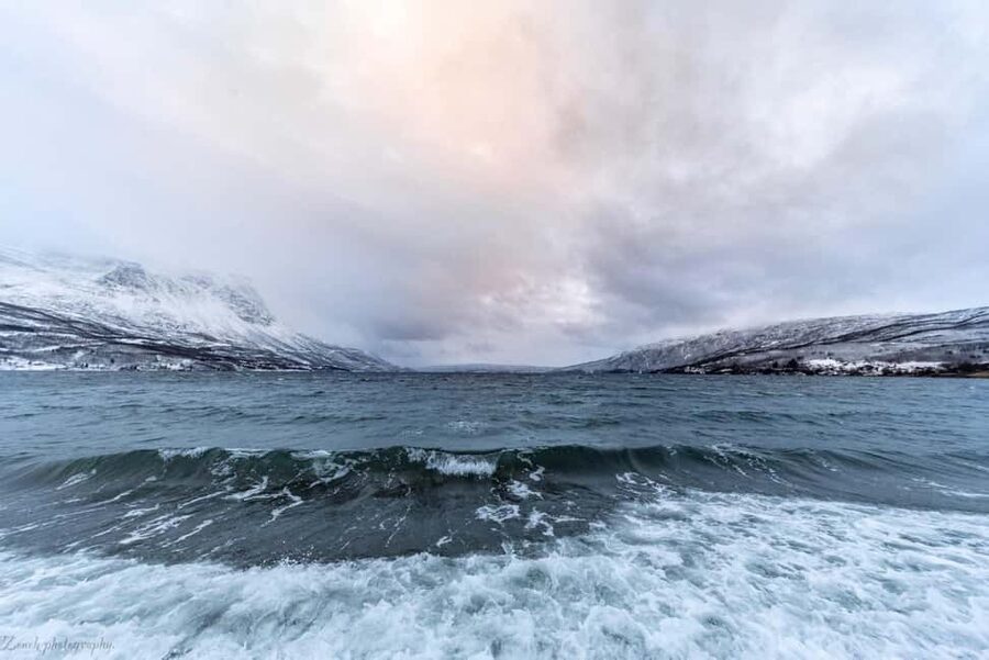 From Abisko: Narvik City and Fjord Day Trip - Seeing Narvik from the fjord viewpoints
