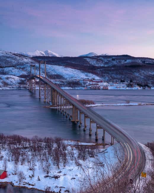 From Abisko: Narvik City and Fjord Day Trip - What the $182 price really covers