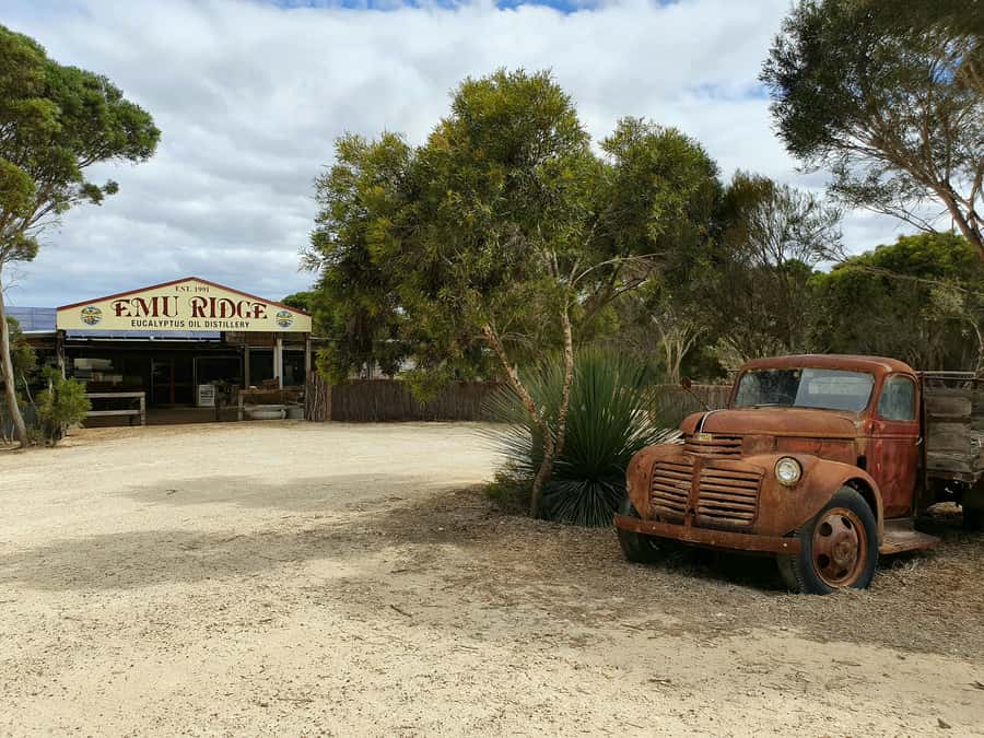 From Adelaide: Kangaroo Island Sip and See Day Trip - Key points to know before booking