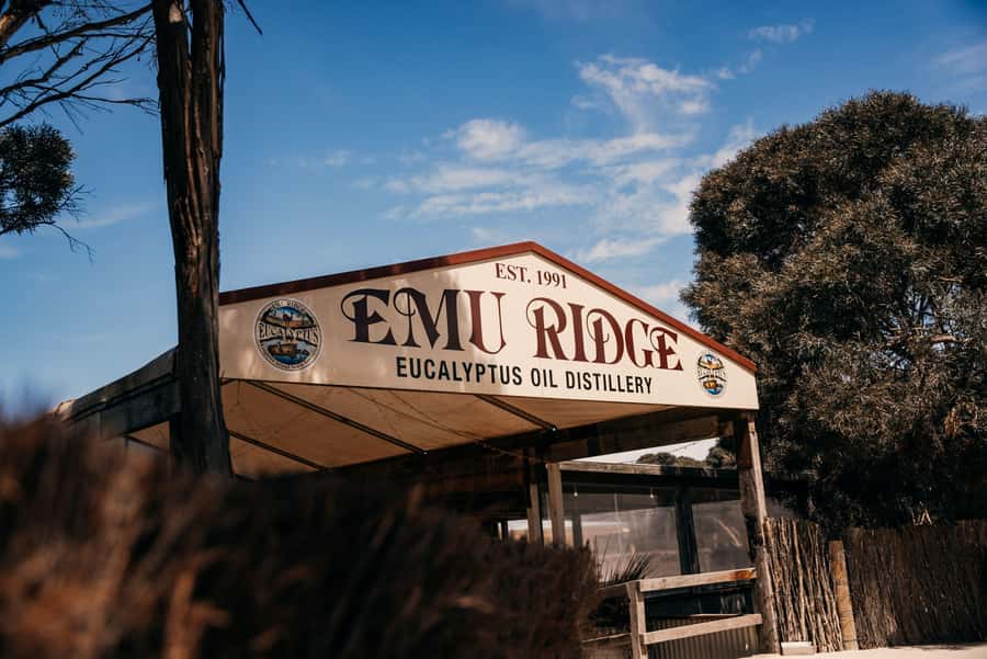From Adelaide: Kangaroo Island Sip and See Day Trip - What $275 really covers