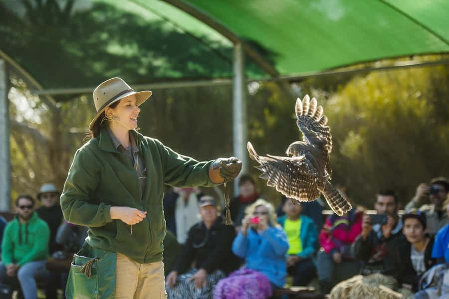 From Adelaide: Kangaroo Island Sip and See Day Trip - The guide and group experience