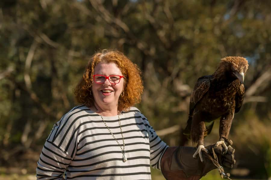 From Adelaide: Kangaroo Island Sip and See Day Trip - Raptor Domain brings live wildlife into the day