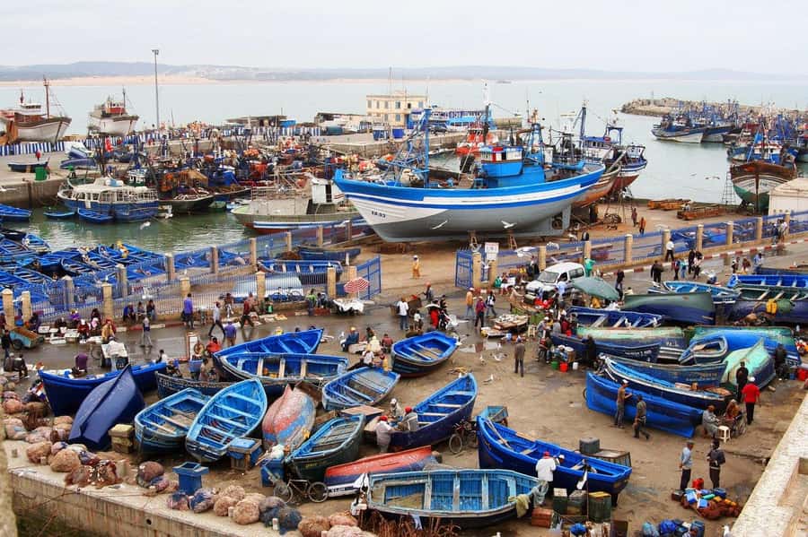 From Agadir or Taghazout : Essaouira Day Trip - Arriving in the medina and Kasbah