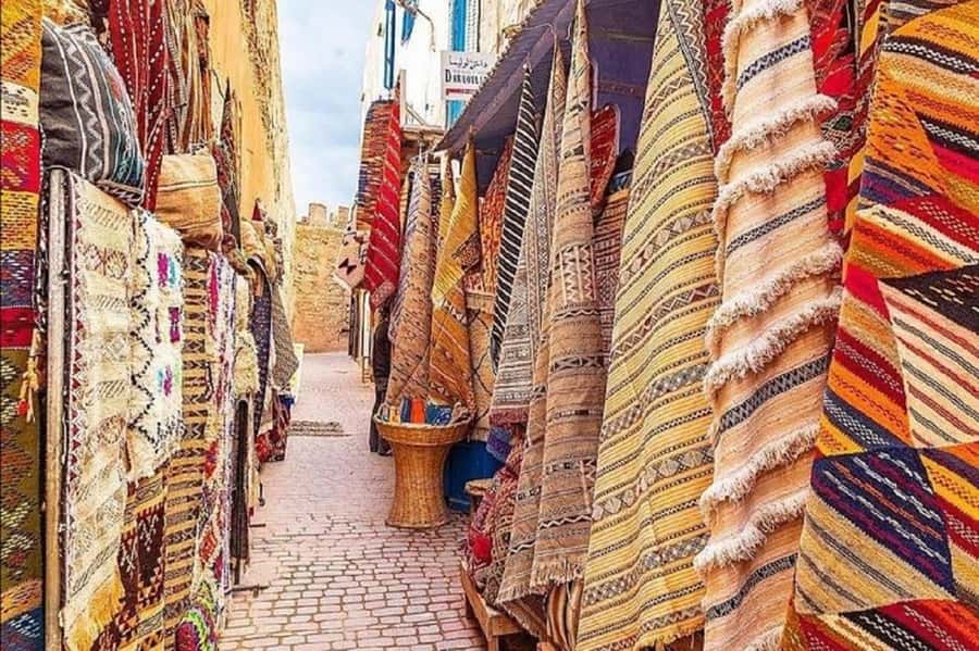 From Agadir or Taghazout : Essaouira Day Trip - Harbor views, seafood, and the working port