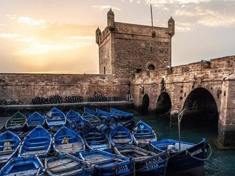 From Agadir or Taghazout : Essaouira Day Trip - Guide language and communication