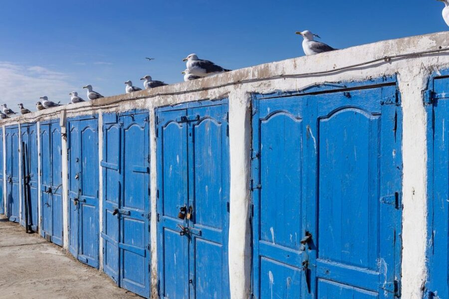 From Agadir or Taghazout: Essaouira Day Trip with Transfer - Who should book this day trip?