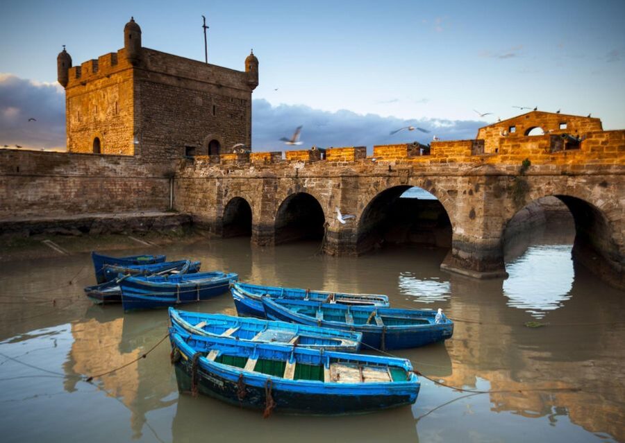 From Agadir or Taghazout: Essaouira Day Trip with Transfer - What the argan oil cooperative adds