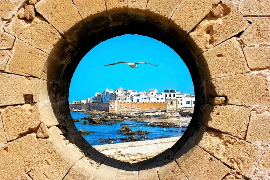 From Agadir or Taghazout: Essaouira Day Trip with Transfer - Beach time, lunch, and the hard choices