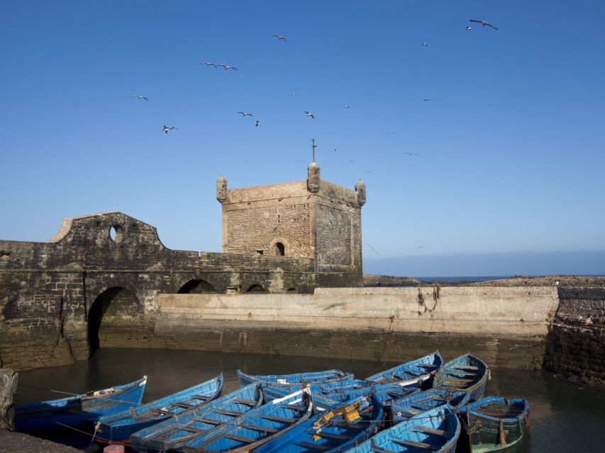 From Agadir or Taghazout: Essaouira Day Trip with Transfer - The guide and vehicle can shape the day