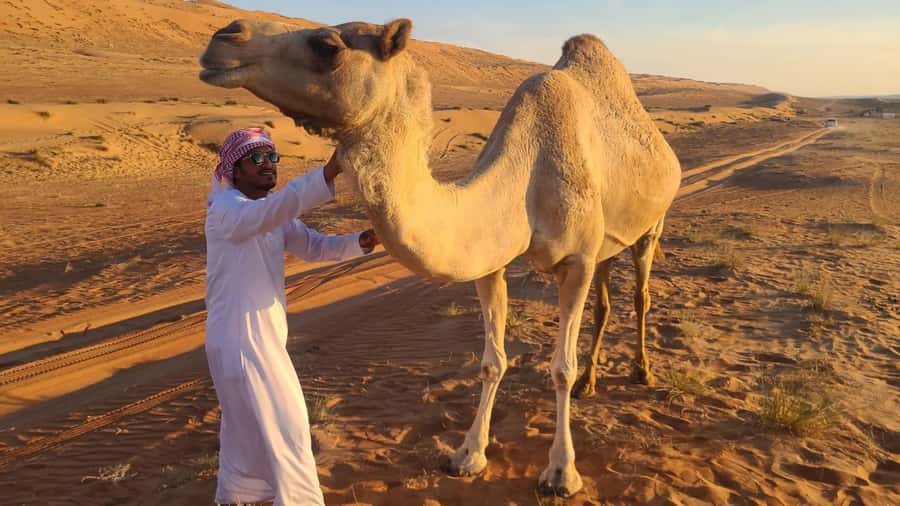 From Agadir: Sahara Desert Day Trip and Camel Ride - Key points to know before you book