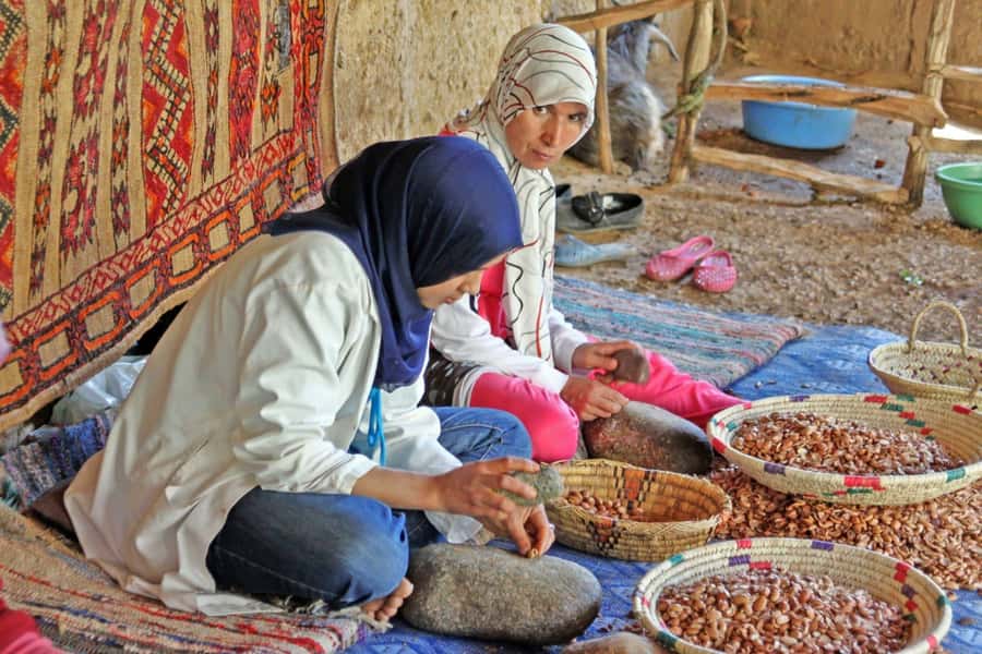 From Agadir: Tafraoute the Anti Atlas Day trip With Lunch - Key points at a glance