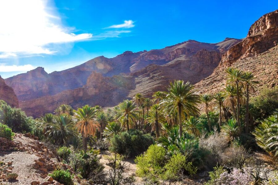 From Agadir: Tafraoute the Anti Atlas Day trip With Lunch - Is the $101 price good value?