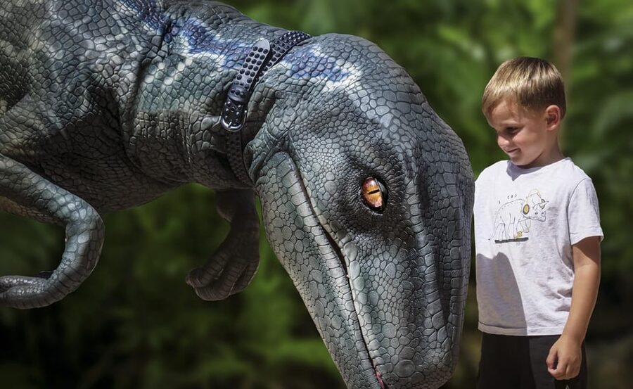 From Alcúdia: Dinosaurland and Hams' Caves Half-Day Trip - Two Very Different Attractions in One Half-Day