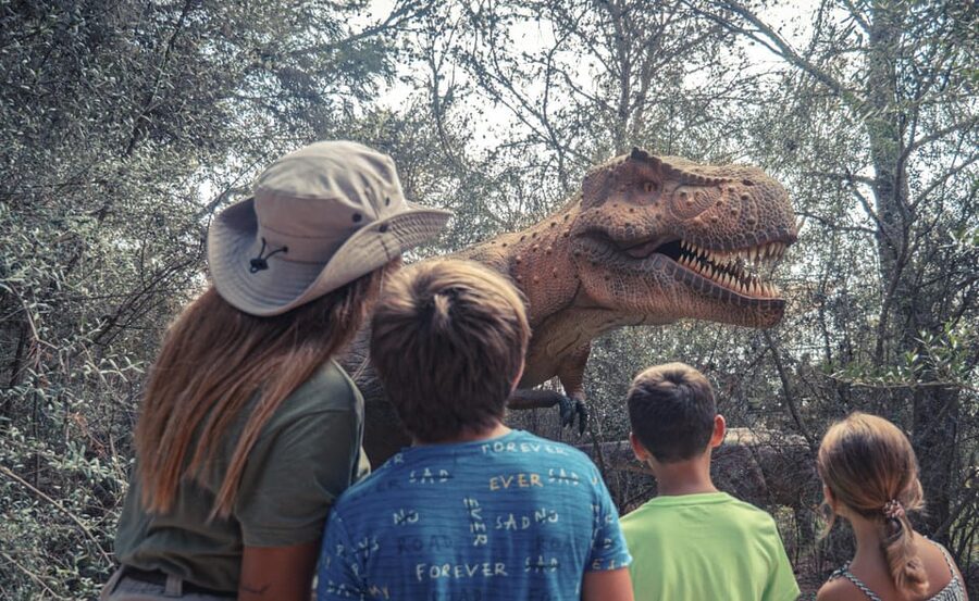 From Alcúdia: Dinosaurland and Hams' Caves Half-Day Trip - Should You Book the Dinosaurland and Hams’ Caves Trip?