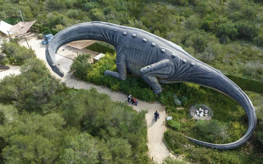 From Alcúdia: Dinosaurland and Hams' Caves Half-Day Trip - The Coach Ride from Alcúdia