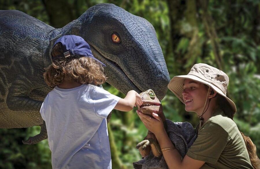 From Alcúdia: Dinosaurland and Hams' Caves Half-Day Trip - Who Will Enjoy This Trip Most