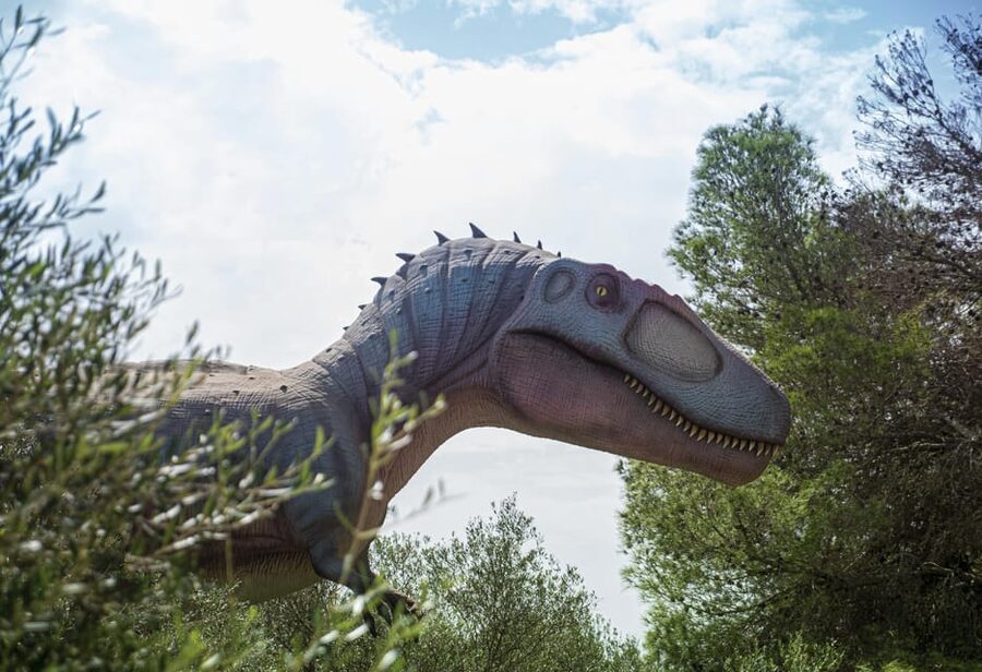 From Alcúdia: Dinosaurland and Hams' Caves Half-Day Trip - Practical Advice Before You Go