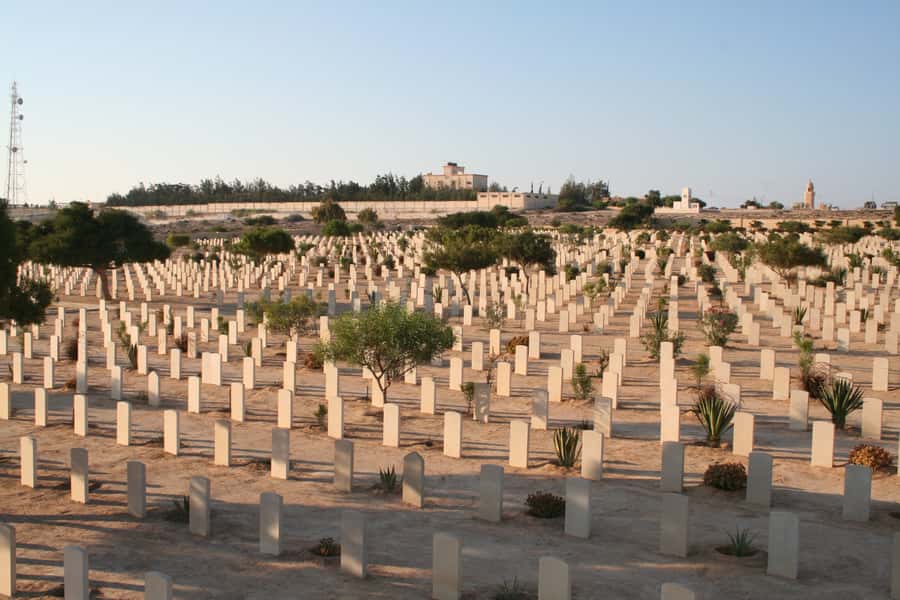 From Alexandria: El Alamein Day Trip - Practical booking advice