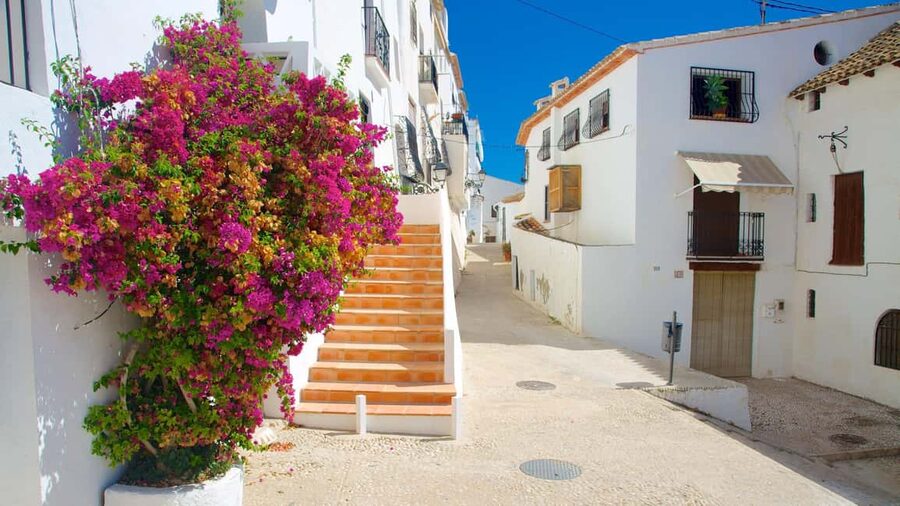 From Alicante/Benidorm: Guadalest & Altea Day Trip - My verdict: a strong two-stop Costa Blanca day