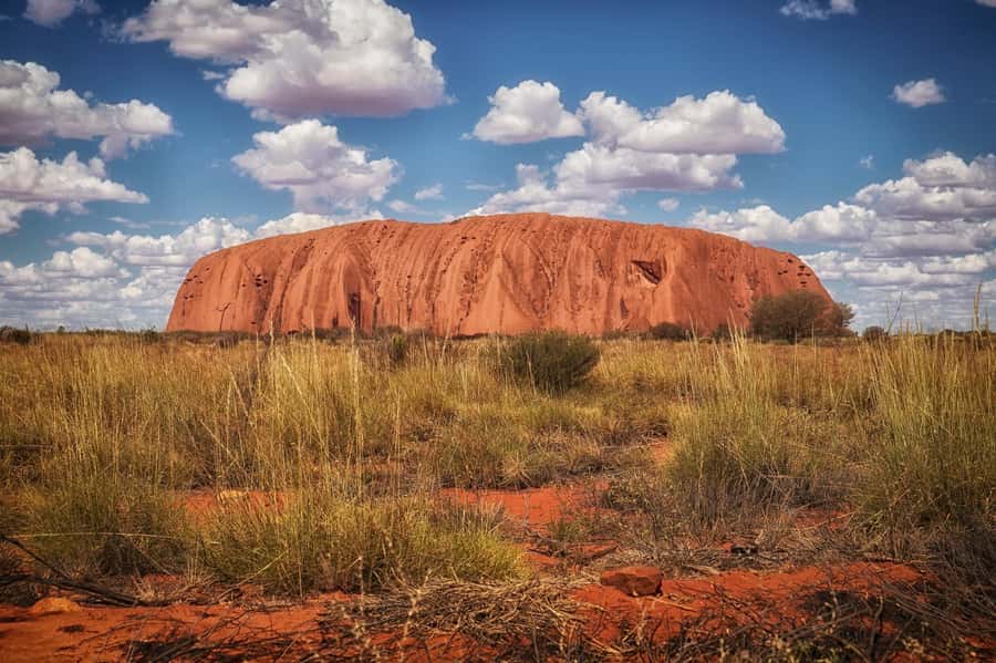 From Alice Springs: Day Trip to Uluru with BBQ Dinner - Key points at a glance