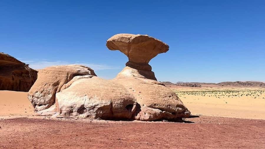 From Amman: Petra, Wadi Rum, and Dead Sea Private 2-Day Trip - The road south from Amman