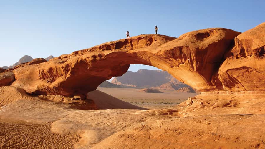 From Amman: Petra, Wadi Rum, and Dead Sea Private 2-Day Trip - What your driver adds to the trip