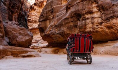 Private Petra Day Trip with Guide