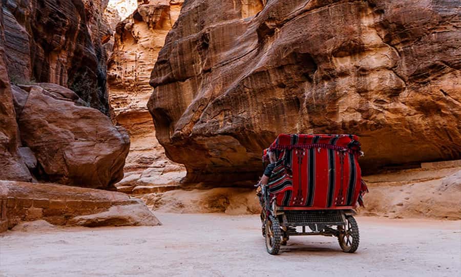 From Amman: Private Petra Day Trip with Guide - The early drive south from Amman