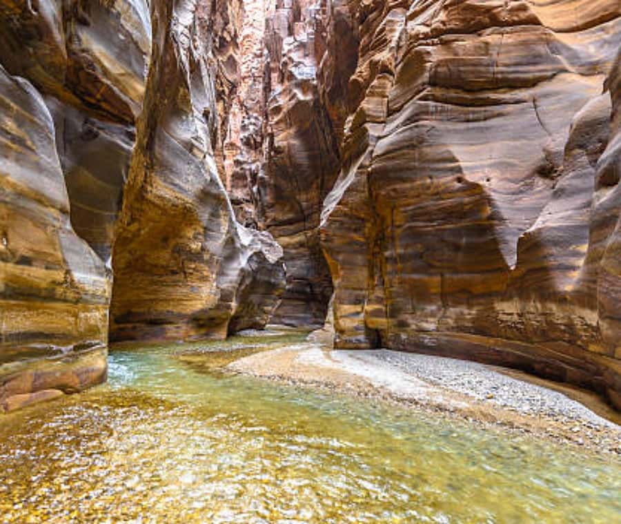 From Amman:To Al-Mujib Canyon & Dead Sea Salt Beach Day Trip - What the driver adds to the experience