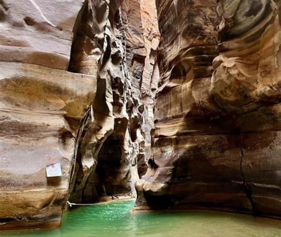 From Amman:To Al-Mujib Canyon & Dead Sea Salt Beach Day Trip - Should you book it?