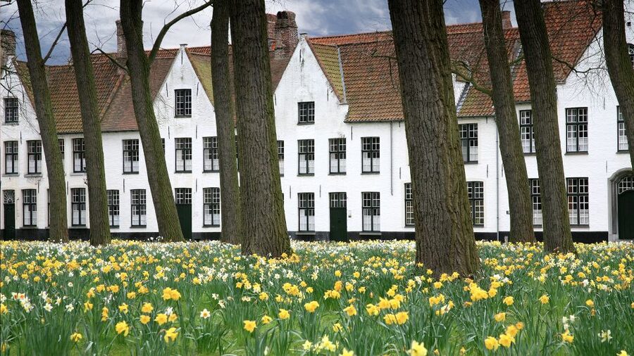 From Amsterdam: Bruges Day Trip in English with Boat Option - Final call: a convenient first look at Bruges