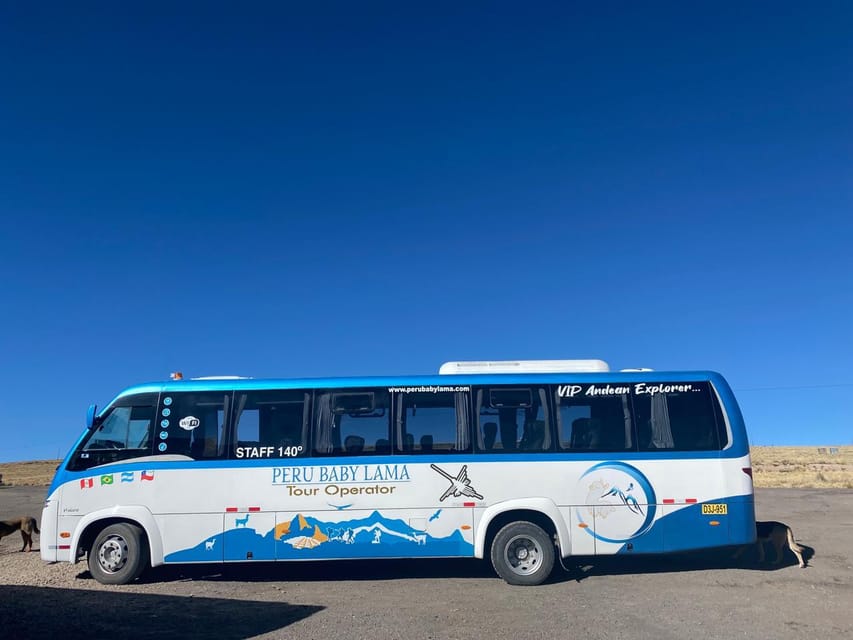 From Arequipa: Colca Canyon Day Trip with Transfer to Puno - Salinas and Aguada Blanca on the road to Puno