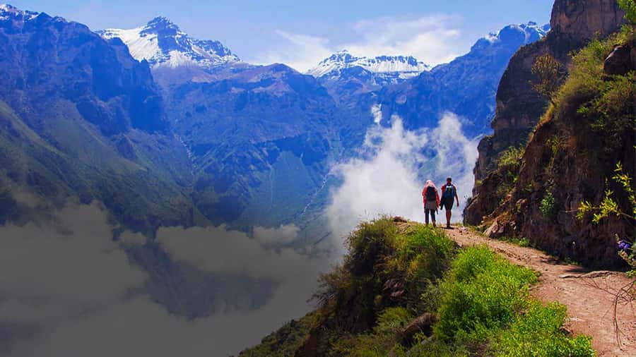 From Arequipa: Colca Canyon Day Trip with Transfer to Puno - Why this route works as a travel day