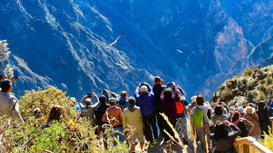 From Arequipa: Colca Canyon Day Trip with Transfer to Puno - Breakfast and Chivay’s local welcome