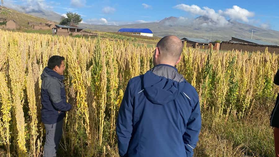 From Arequipa: Colca Canyon Day Trip with Transfer to Puno - Cruz del Cóndor and the canyon’s big moment