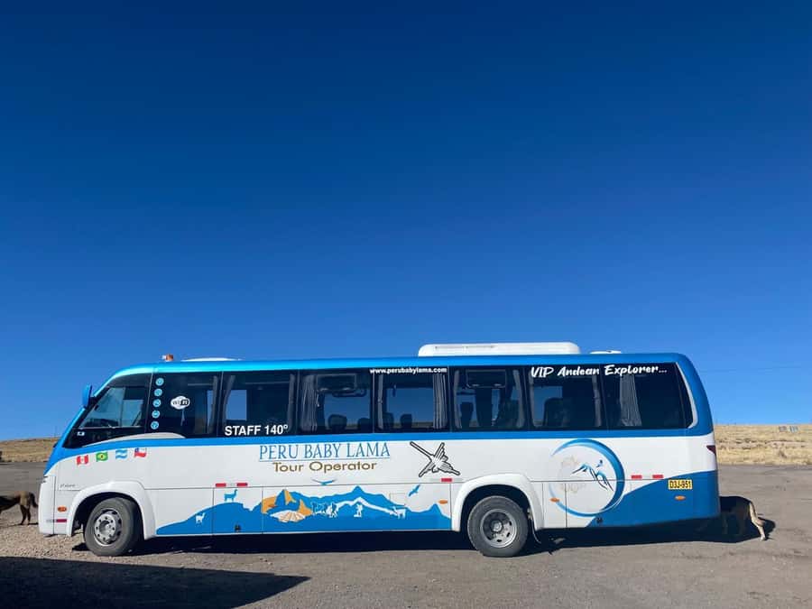 From Arequipa: Colca Canyon Day Trip with Transfer to Puno - A one-hour walk above the Colca Canyon