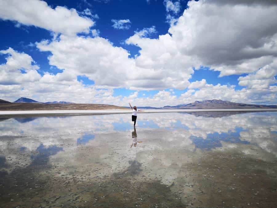 From Arequipa: Salinas Lagoon Full-Day Trip with Hot Springs - Who should book this Salinas Lagoon trip