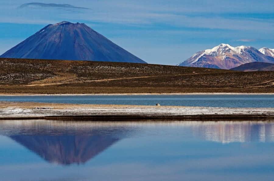 From Arequipa: Salinas Lagoon Full-Day Trip with Hot Springs - Why Salinas Lagoon makes a strong day trip from Arequipa