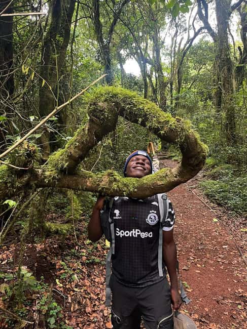 From Arusha/Moshi: Kilimanjaro Hike Marangu Route Day Trip - How the $101 price works