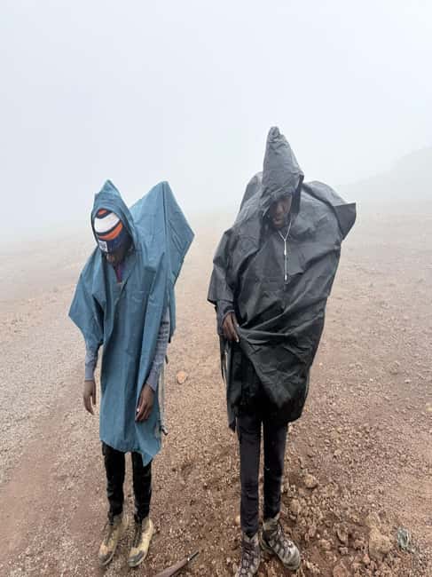 From Arusha/Moshi: Kilimanjaro Hike Marangu Route Day Trip - What the guide and driver add