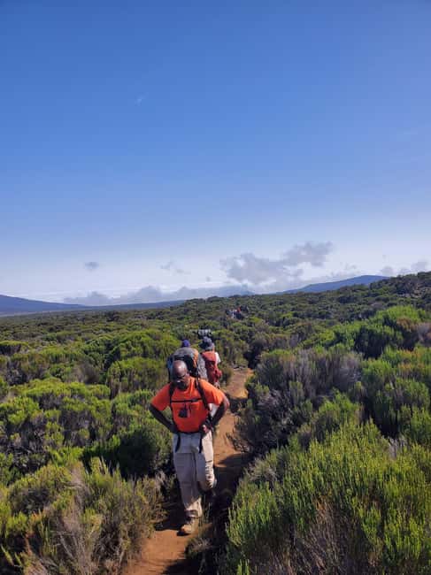 From Arusha/Moshi: Kilimanjaro Hike Marangu Route Day Trip - What to pack for a safer, better day