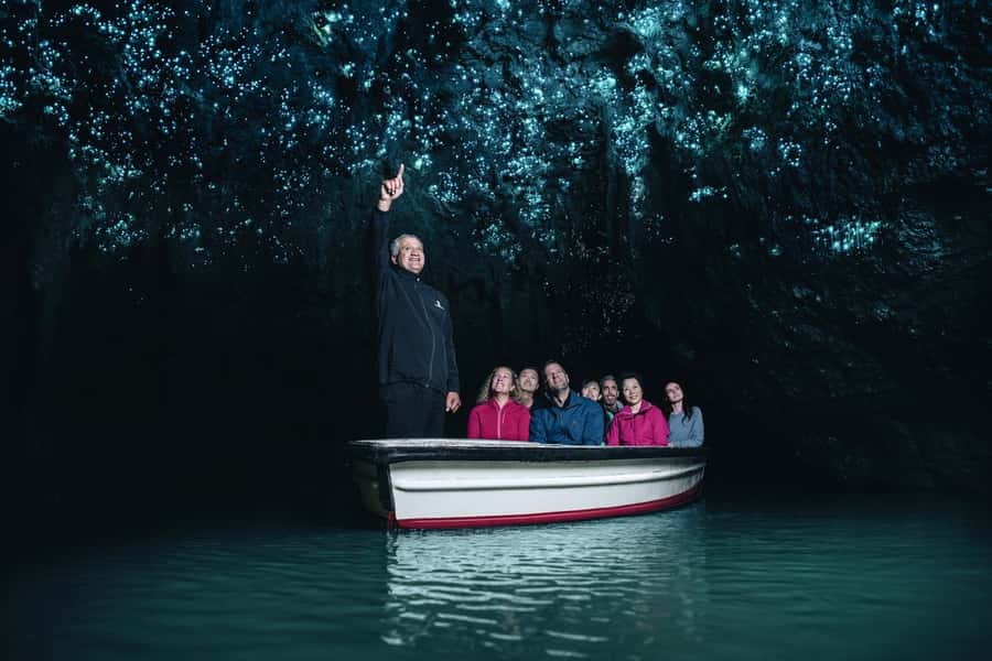 From Auckland: Day Trip to Waitomo Glow Worm Caves - From Auckland CBD to the Waikato countryside