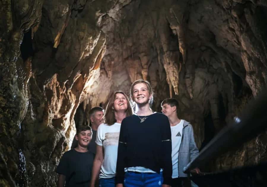 From Auckland: Day Trip to Waitomo Glow Worm Caves - The guide can shape the whole day