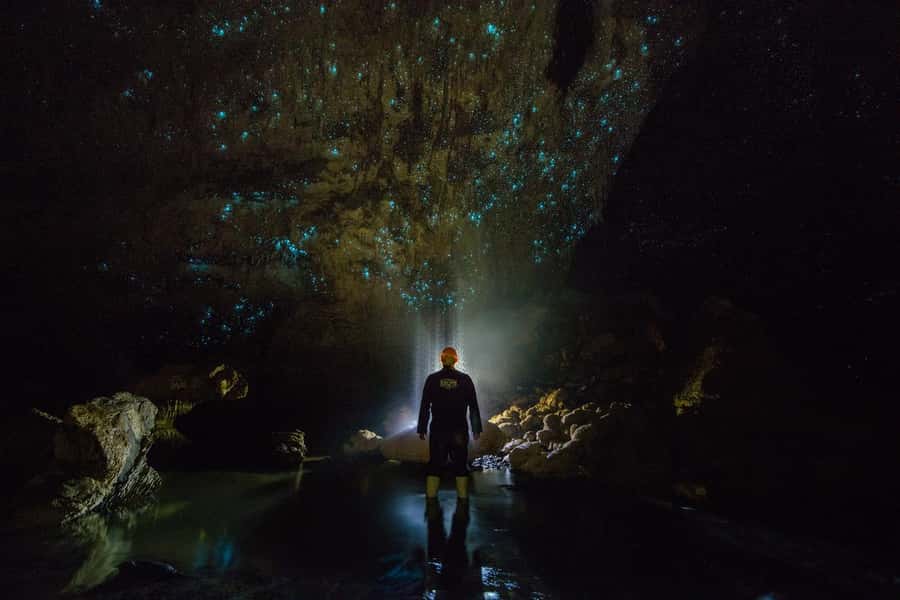From Auckland: Day Trip to Waitomo Glow Worm Caves - Should you book it?