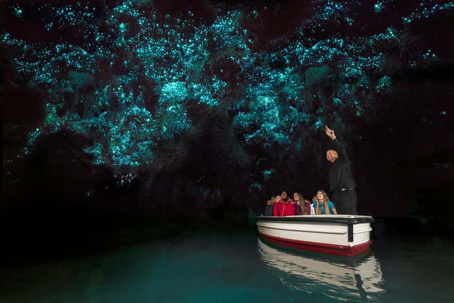 From Auckland: Day Trip to Waitomo Glow Worm Caves - A short Waitomo stop before the cave