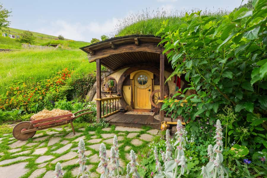 From Auckland: Hobbiton Movie Set Full-Day Trip - Key things to know before booking
