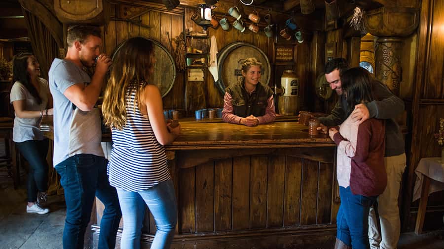 From Auckland: Hobbiton Movie Set Full-Day Trip - Is $161 a fair price?