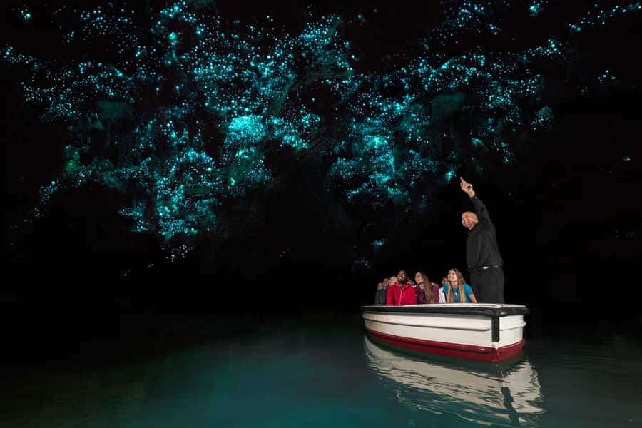 From Auckland: Hobbiton & Waitomo Caves Day Trip with Lunch - The guide can shape the entire day